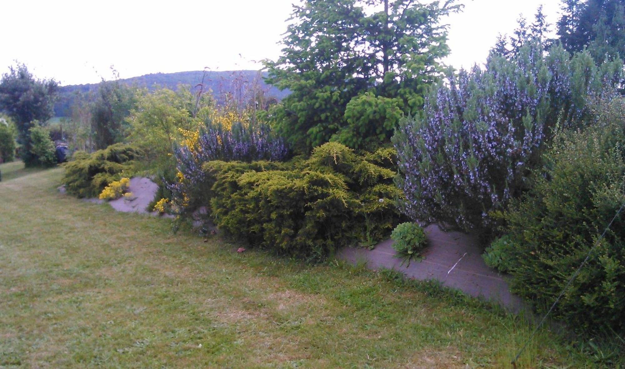 Gite Et Chambres D'Hotes Gandelain Exterior foto