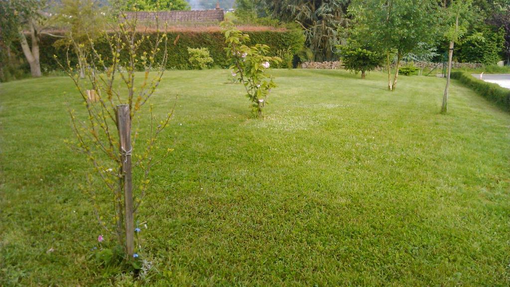 Gite Et Chambres D'Hotes Gandelain Exterior foto